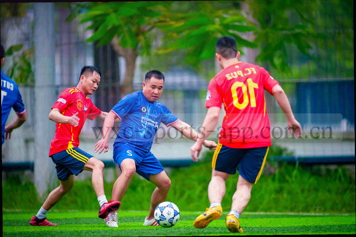 深墨绿背景上条款网格与球场边线交叉纹理